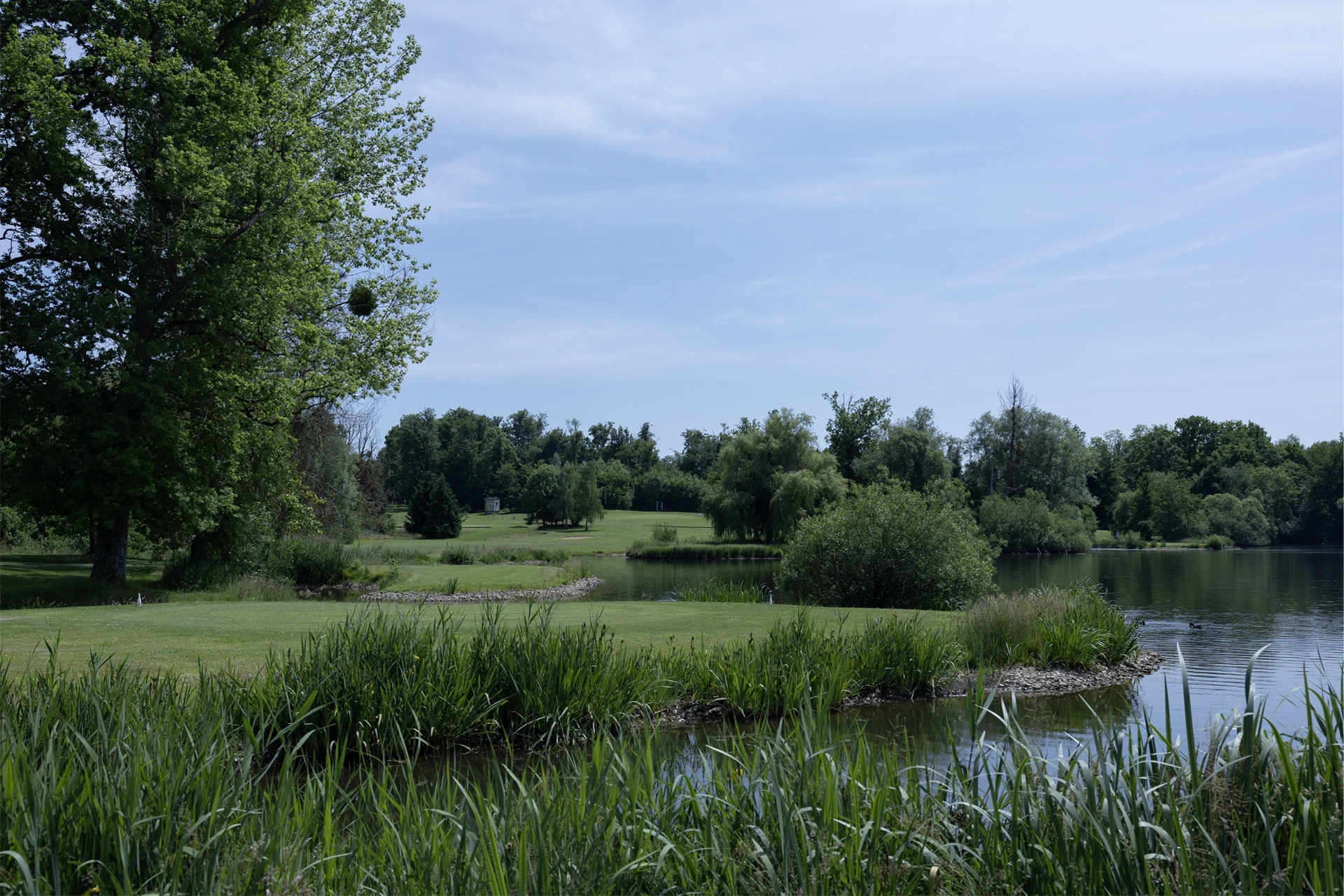 Quentin Penaud - Moniteur de Golf